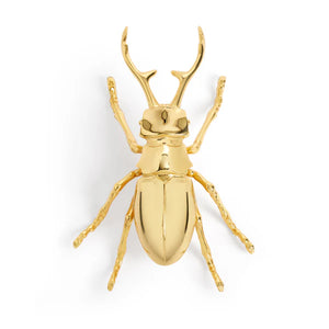 Abridor De Botellas Longhorn