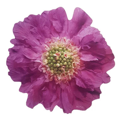 Individual Flower Purple - shop now